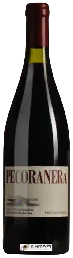 Winery Tenuta Grillo - Pecoranera Winery Tenuta Grillo - Pecoranera