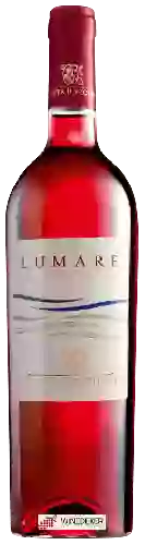 Winery Tenuta Iuzzolini - Lumare