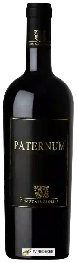 Winery Tenuta Iuzzolini - Paternum