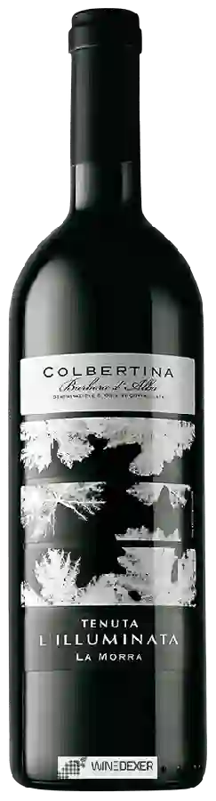 Winery Tenuta L'Illuminata - Colbertina Barbera d'Alba Winery Tenuta L'Illuminata - Colbertina Barbera d'Alba