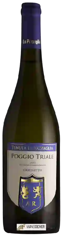 Winery Pazzaglia - Poggio Triale Grechetto Winery Pazzaglia - Poggio Triale Grechetto