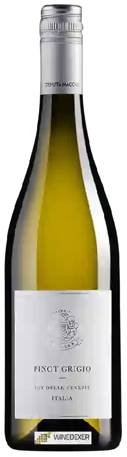 Winery Tenuta Maccan - Pinot Grigio Winery Tenuta Maccan - Pinot Grigio