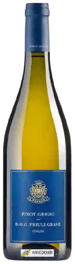 Winery Tenuta Maccan - Pinot Grigio Winery Tenuta Maccan - Pinot Grigio