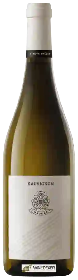 Winery Tenuta Maccan - Sauvignon