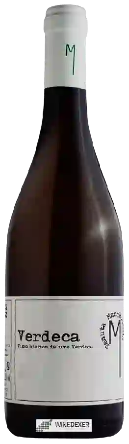 Winery Tenuta Macchiarola - Verdeca