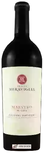 Winery Tenuta Meraviglia - Dievole Maestro di Cava