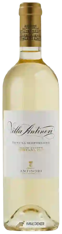 Winery Tenuta Monteloro - Villa Antinori Pinot Bianco Winery Tenuta Monteloro - Villa Antinori Pinot Bianco