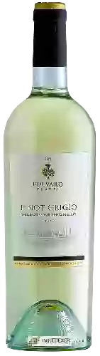 Winery Tenuta Polvaro - Pinot Grigio