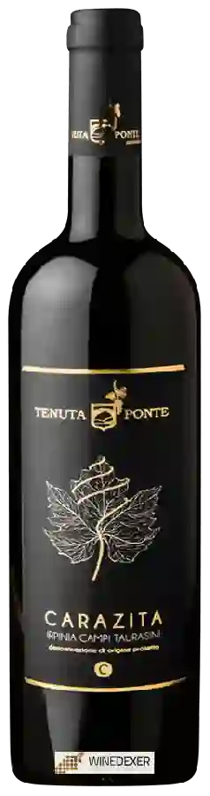 Winery Tenuta Ponte - Carazita Winery Tenuta Ponte - Carazita