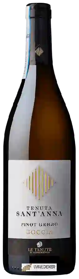 Winery Tenuta Sant’Anna (S. Anna) - Goccia Pinot Grigio Winery Tenuta Sant’Anna (S. Anna) - Goccia Pinot Grigio