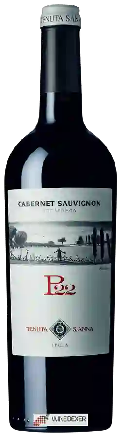 Winery Tenuta Sant’Anna (S. Anna) - P22 Cabernet Sauvignon Venezia