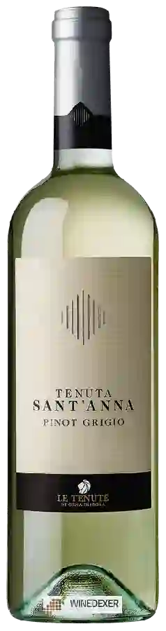 Winery Tenuta Sant’Anna (S. Anna) - Pinot Grigio