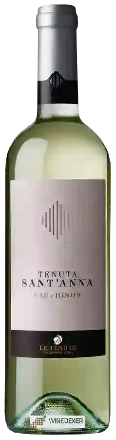 Winery Tenuta Sant’Anna (S. Anna) - Sauvignon