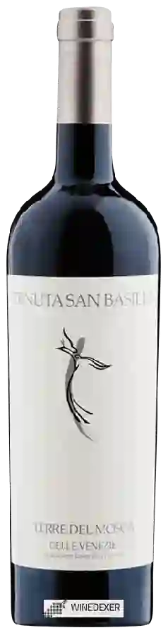 Winery San Basilio - Terre del Mosca