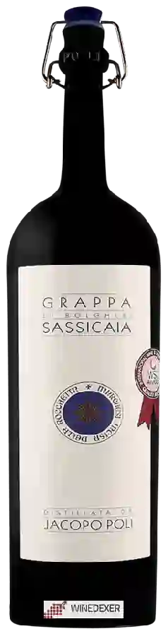 Winery Tenuta San Guido - Grappa Sassicaia Winery Tenuta San Guido - Grappa Sassicaia