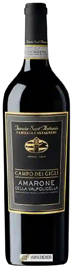 Winery Scaia - Campo dei Gigli Amarone della Valpolicella Winery Scaia - Campo dei Gigli Amarone della Valpolicella