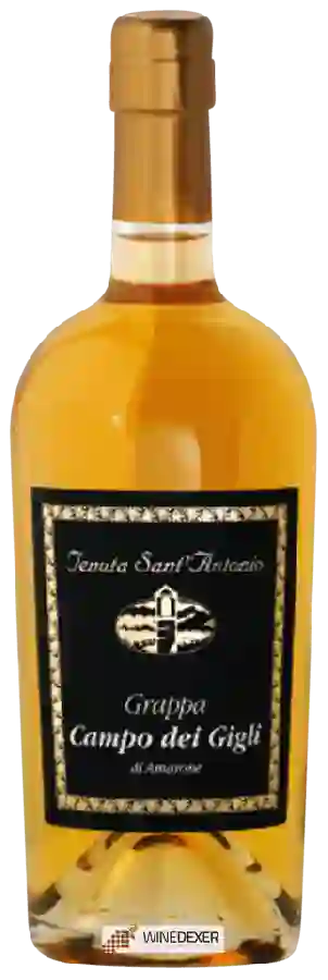 Winery Scaia - Grappa Campo dei Gigli di Amarone