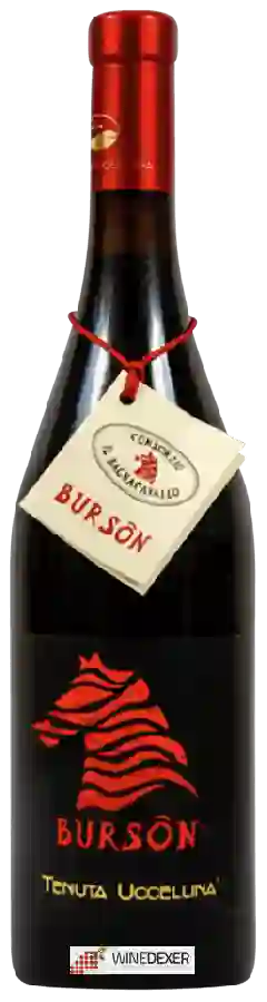 Winery Tenuta Uccellina - Bursôn Winery Tenuta Uccellina - Bursôn