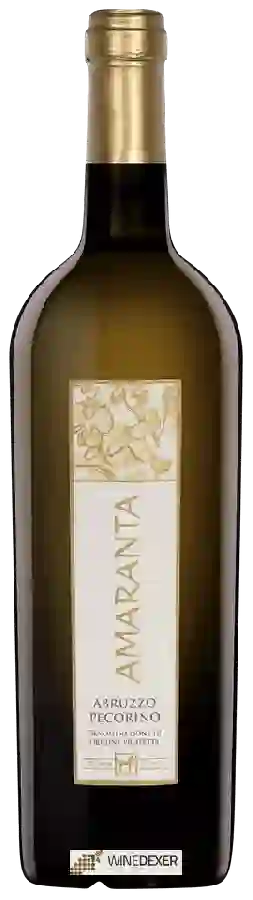 Winery Tenuta Ulisse - Amaranta Pecorino Abruzzo Winery Tenuta Ulisse - Amaranta Pecorino Abruzzo