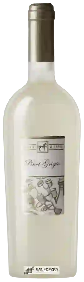 Winery Tenuta Ulisse - Pinot Grigio Winery Tenuta Ulisse - Pinot Grigio