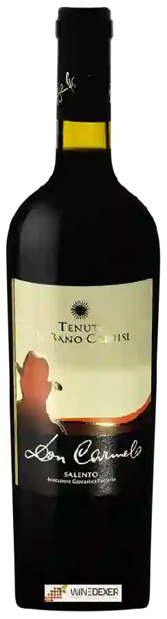 Winery Tenute Al Bano Carrisi - Don Carmelo
