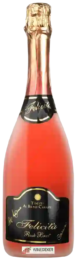 Winery Tenute Al Bano Carrisi - Felicità Brut Rosé Winery Tenute Al Bano Carrisi - Felicità Brut Rosé