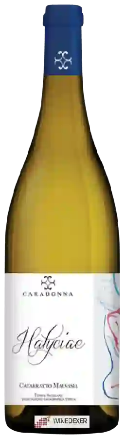 Winery Tenute Caradonna - Halyciae Catarratto - Malvasia