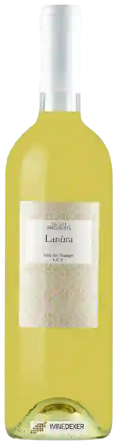 Winery Tenute Perdarubia - Lanùra Isola dei Nuraghi Winery Tenute Perdarubia - Lanùra Isola dei Nuraghi