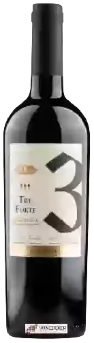 Winery Tenute Quattro Conti - Tre Forte Rosso
