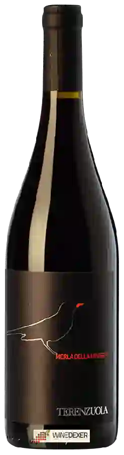 Winery Terenzuola - Merla della Miniera