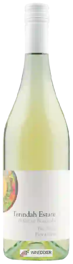 Winery Terindah Estate - Two Bays Pinot Gris