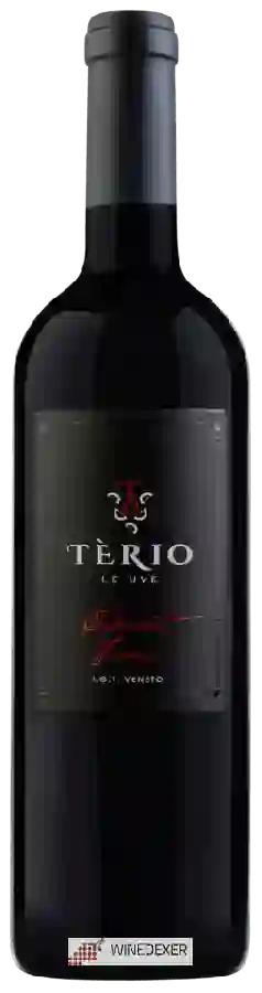Winery Terio Wines - Cabernet Franc Winery Terio Wines - Cabernet Franc