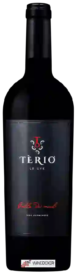 Winery Terio Wines - Calle dei Merli Carménère Winery Terio Wines - Calle dei Merli Carménère
