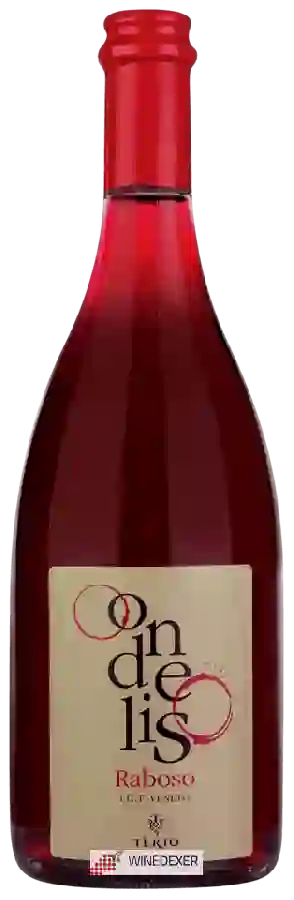Winery Terio Wines - Ondelis Raboso Veneto