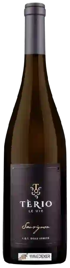 Winery Terio Wines - Sauvignon