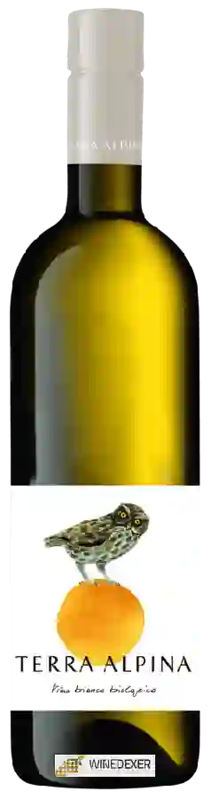 Winery Terra Alpina - Vino Bianco Biologico Winery Terra Alpina - Vino Bianco Biologico