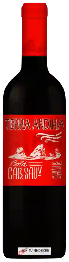 Winery Terra Andina - Cabernet Sauvignon Bold