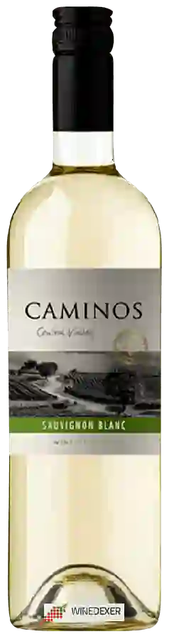 Winery Terra Andina - Caminos Sauvignon Blanc