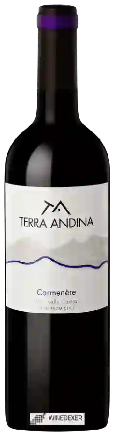 Winery Terra Andina - Carmenère Winery Terra Andina - Carmenère
