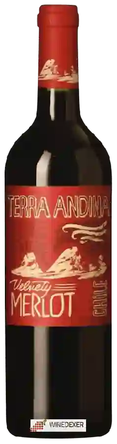 Winery Terra Andina - Merlot Velvety