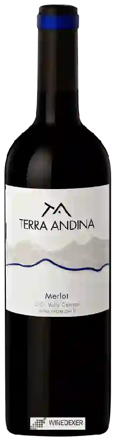 Winery Terra Andina - Merlot Winery Terra Andina - Merlot