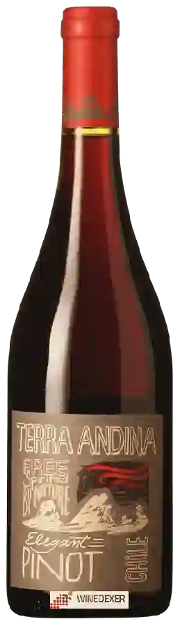 Winery Terra Andina - Pinot Noir Elegant