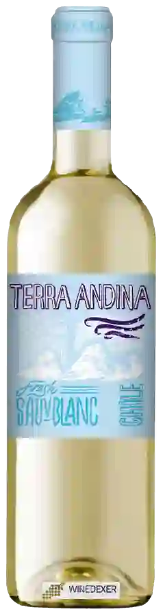 Winery Terra Andina - Sauvignon Blanc Fresh Winery Terra Andina - Sauvignon Blanc Fresh