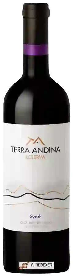Winery Terra Andina - Syrah Reserva Winery Terra Andina - Syrah Reserva