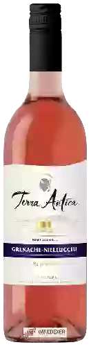 Winery Terra Antica - Selection Grenache - Niellecciu Rosé