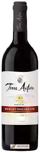 Winery Terra Antica - Sélection Merlot - Niellucciu