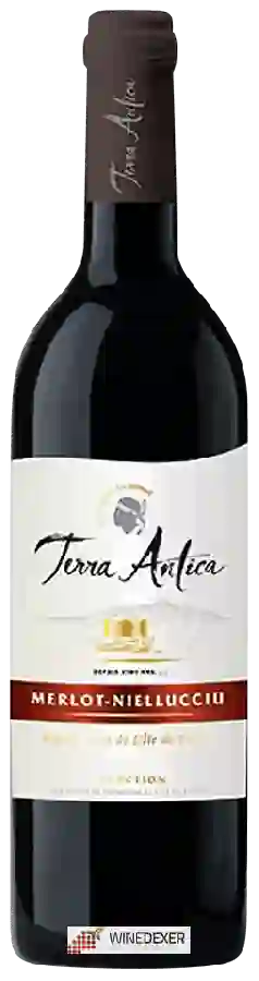 Winery Terra Antica - Sélection Merlot - Niellucciu