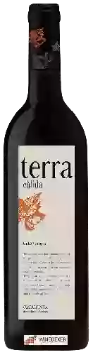 Winery Terra Calida - Tinto