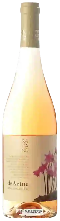 Winery Terra Costantino - De Aetna Etna Rosato