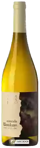 Winery Terra Costantino - Contrada Blandano Etna Blanc